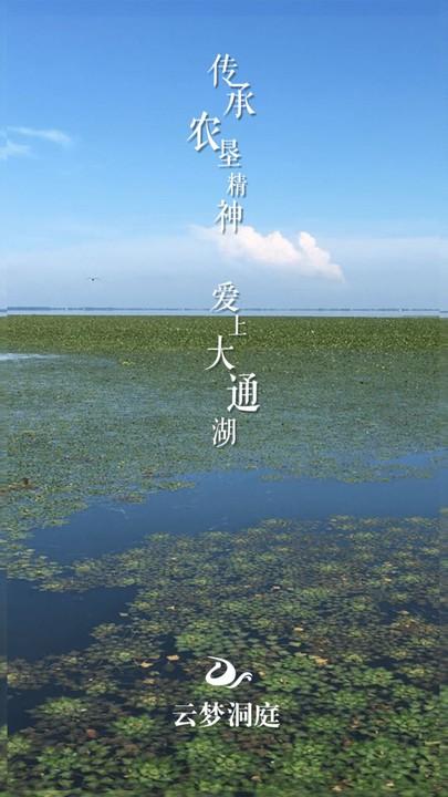 云梦洞庭app下载,云梦洞庭,新闻app,资讯app